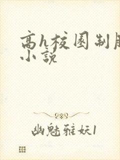 高h校园制服类小说