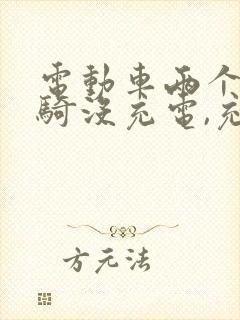 电动车两个月不骑没充电,充不进电