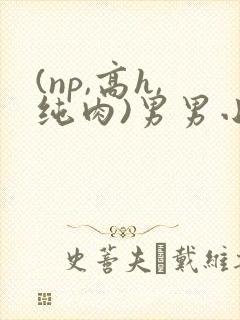 (np,高h,纯肉)男男小说