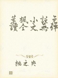 叶枫小说免费阅读全文无弹窗最新