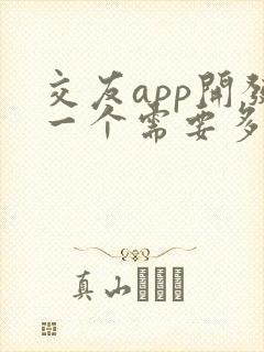 交友app开发一个需要多少钱