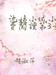 沈姨小城小说免费阅读第3章