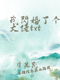 我闪婚了个财阀大佬txt