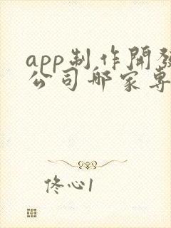app制作开发公司哪家专业