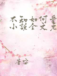 不知如何爱你时小说全文免费阅读