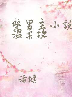 双男主小说年上温柔攻