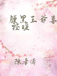 腹黑王爷喜当爹 轻暖