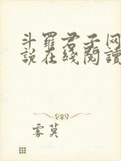 斗罗君子网络小说在线阅读
