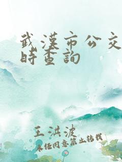 武汉市公交车实时查询