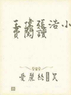 王伟张浩小说免费阅读