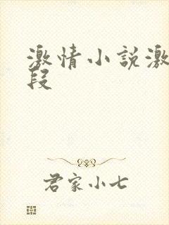 激情小说激情片段