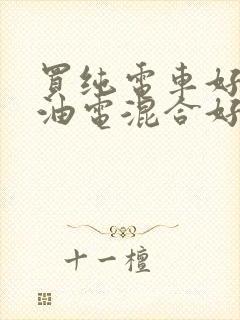 买纯电车好还是油电混合好
