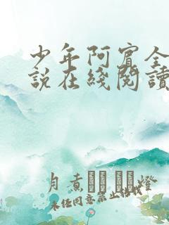 少年阿宾全文小说在线阅读
