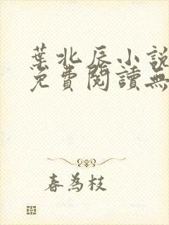 叶北辰小说全文免费阅读无弹窗最新章节