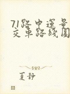 71路中运量公交车路线图