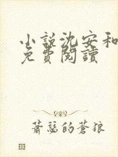 小说沈安和盛兮免费阅读