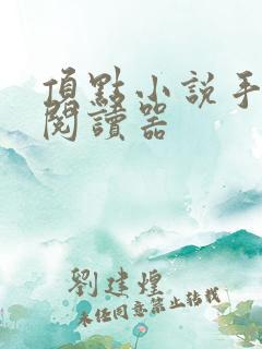 顶点小说手机版阅读器