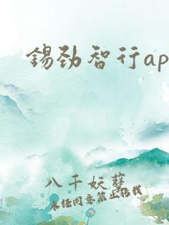 锡劲智行app