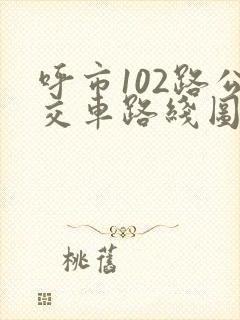 呼市102路公交车路线图