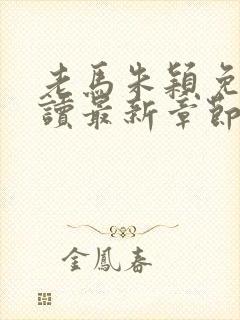 老马朱颖免费阅读最新章节小说