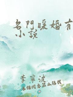 名门暖婚有点甜 小说
