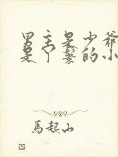男主是少爷女主是丫鬟的小说