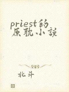 priest的原耽小说