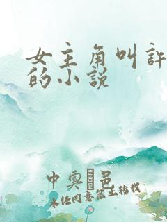 女主角叫许知意的小说