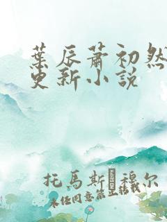 叶辰萧初然最快更新小说