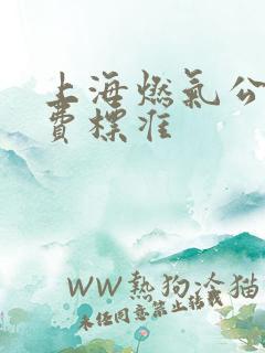 上海燃气公司收费标准 上海燃气公司收费标准