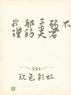 我那柔弱不能自理的夫君 我那柔弱不能自理的夫君