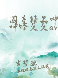 国产精品呻高潮呻吟久久av