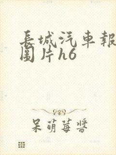 长城汽车报价及图片h6