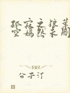 孤寂之狼叶凡司空嫣然未删减txt