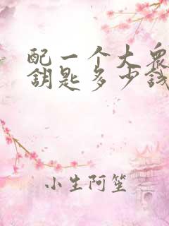 配一个大众朗逸钥匙多少钱