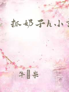 抓奶子h小说