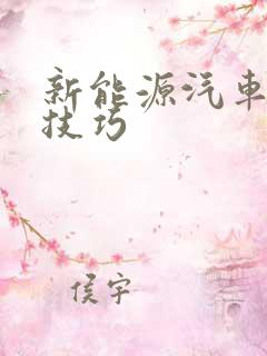 新能源汽车省电技巧