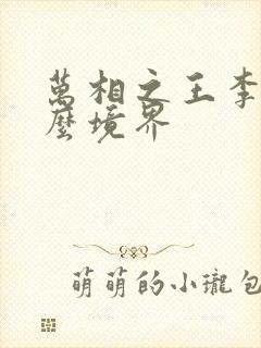 万相之王李洛什么境界