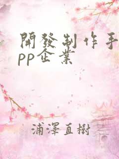 开发制作手机app企业