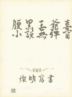 腹黑王爷喜当爹小说无弹窗 腹黑王爷喜当爹小说无弹窗