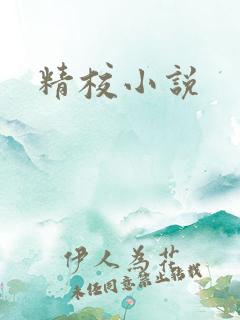 精校小说