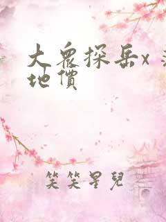 大众探岳x 落地价