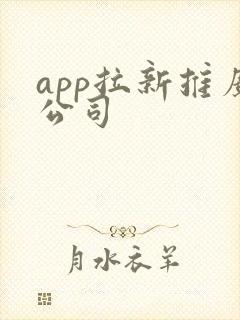 app拉新推广公司