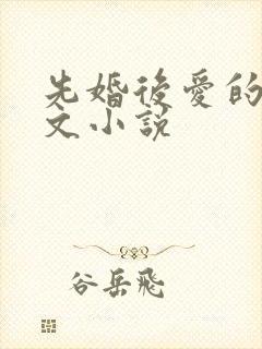 先婚后爱的甜宠文小说