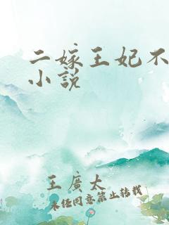 二嫁王妃不好惹小说