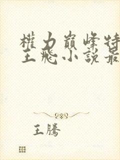 权力巅峰特种兵王飞小说最新更新