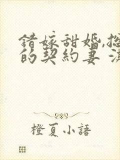 错嫁甜婚,总裁的契约妻 淇沅