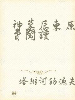 神墓辰东原文免费阅读