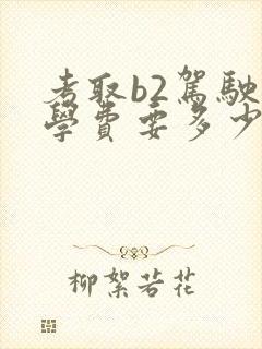 考取b2驾驶证学费要多少钱