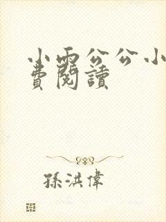小雨公公小说免费阅读